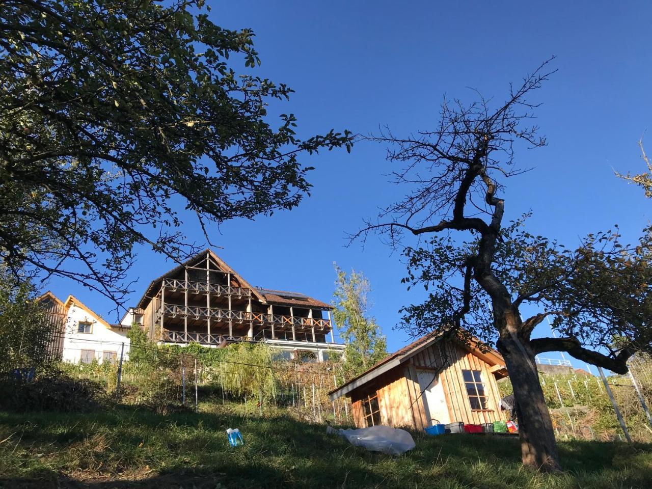 Atelier 67 Bed and Breakfast Obersaxen Exterior foto